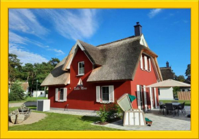 Modernes Reetdach-Ostseeferienhaus Bella Mare, Insel Usedom mit Sauna, Kamin & Sonnenterrasse in Zirchow